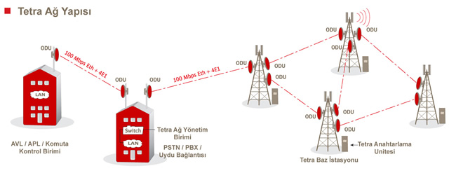 Tetra Network Components