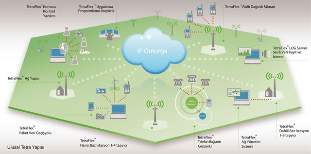 Tetra Network Components